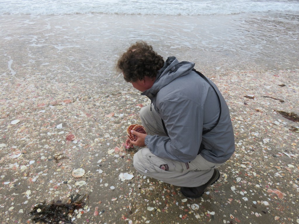 De man als eeuwige verzamelaar, strand bij Peel Castle, Isle of Man, augustus 2019